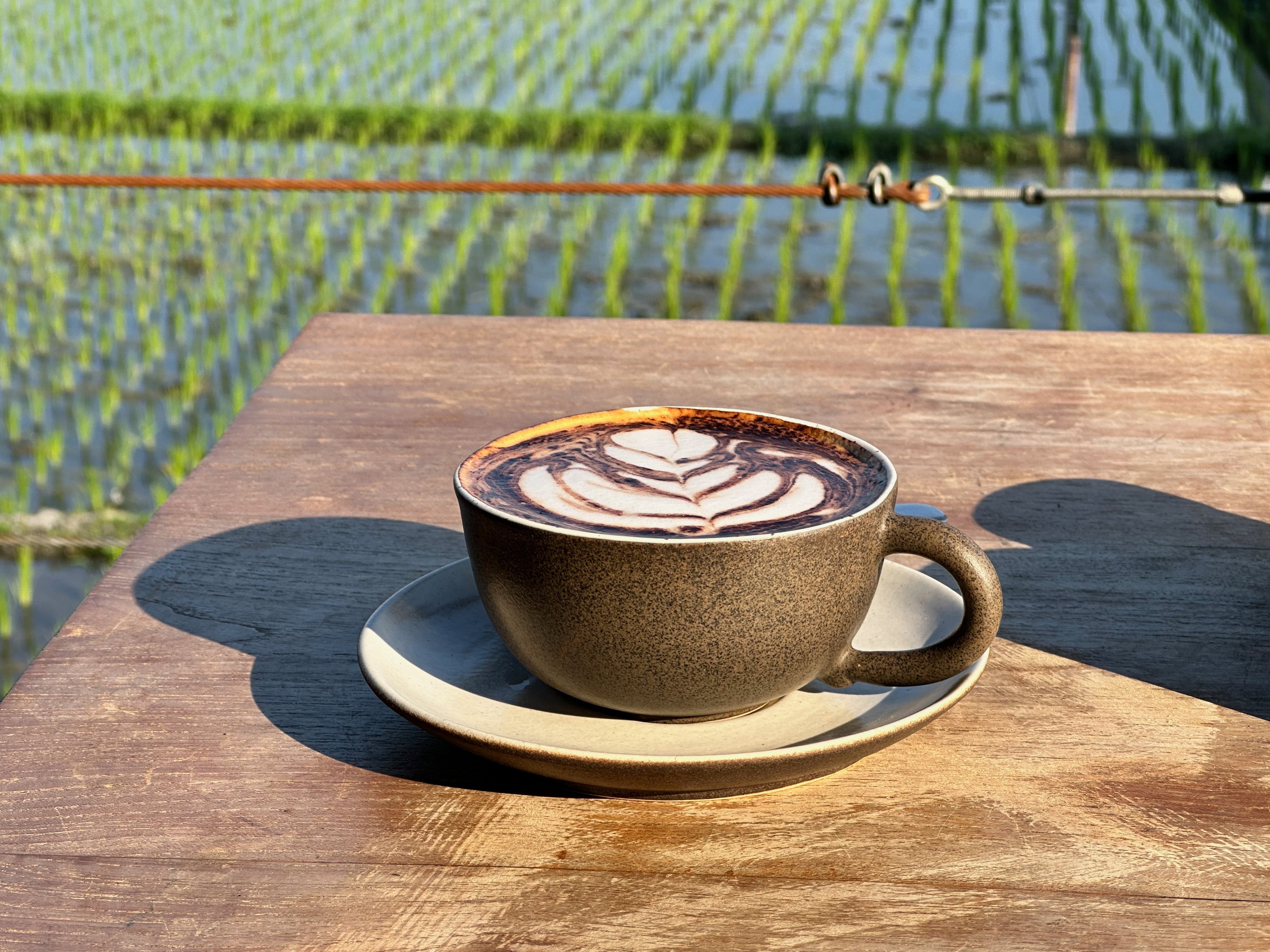 Cappuccino with Rice Field View