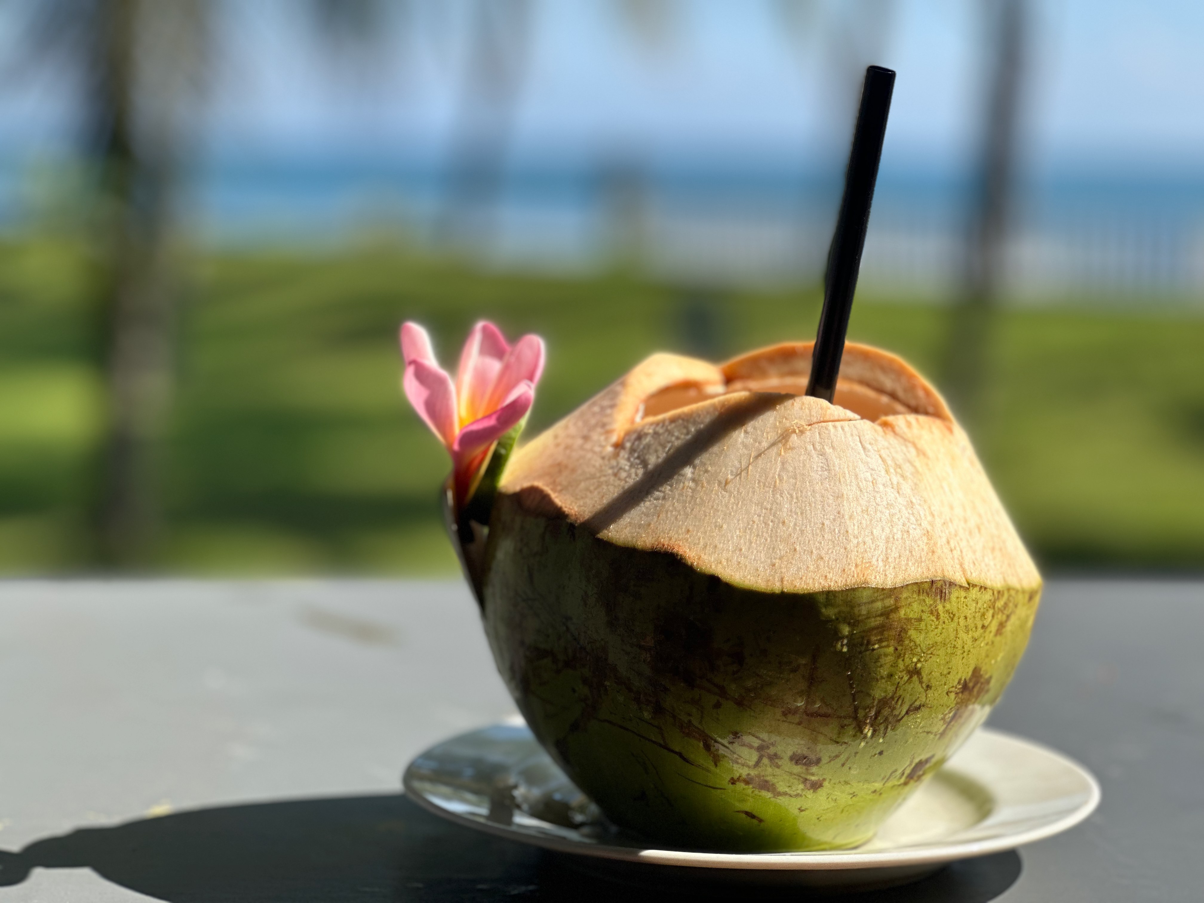 Cold Coconut